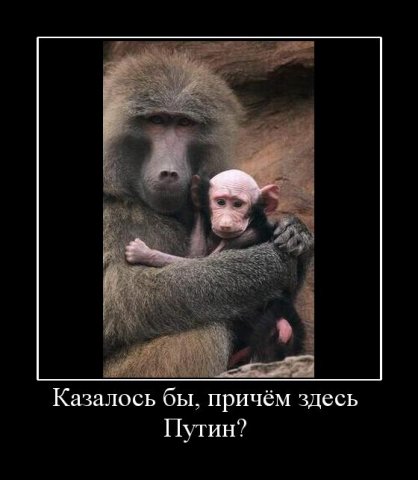 http://cs4306.vkontakte.ru/u2890153/62763215/x_846634da.jpg